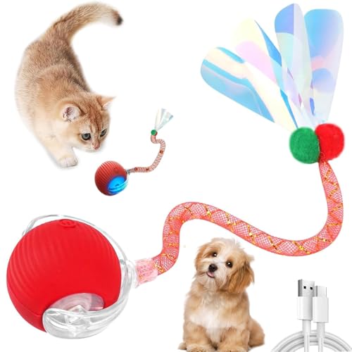 XUDUOO Cat Toys for Indoor Cats Adult, Interactive Dog Toys, Active Rolling Ball with Tail for Dogs, Rechargeable Pet Moving Toys, Automatic Pet Ball for All Floors & Carpet