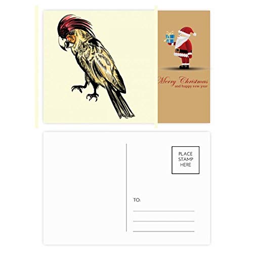 Cartes postales Père Noël plumes jaunes pour rompre la monotonie des vœux