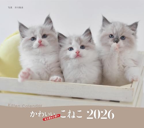 2026年カレンダー かわいいこねこ (誠文堂新光社カレンダー)のサムネイル