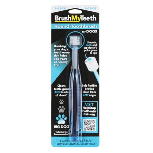 Brush My Teeth Big Dog Toothbrush with Soft Bristles