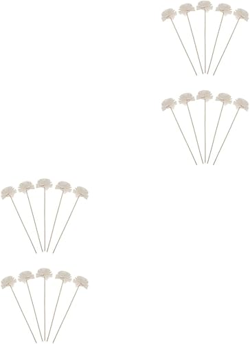 Cabilock 2 Unidades Aromaterapia Flores Secas Difusor de Aroma Natural Difusor de Ratán Recambios Difusor de Aceite Aroma Difusor de Aroma Varillas