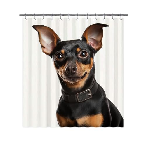 Ganshan Bi Miniature Pinscher Dog Shower Curtain for Bathroom Lovely Dog Puppy Pet Animal Print Bath Curtains Home Decor with 12 Hooks 72x80 Inch Style 3
