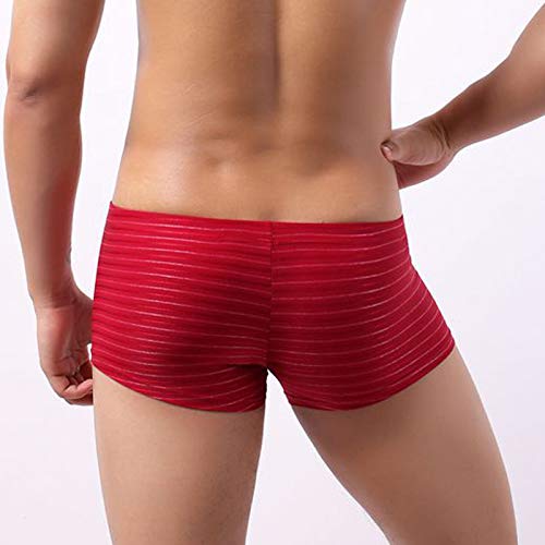 Boxershorts voor heren, katoenen onderbroek, basic boxerbroek, gestreept, ondergoed, broekje, gemiddelde taille, zacht… - Afbeelding 6
