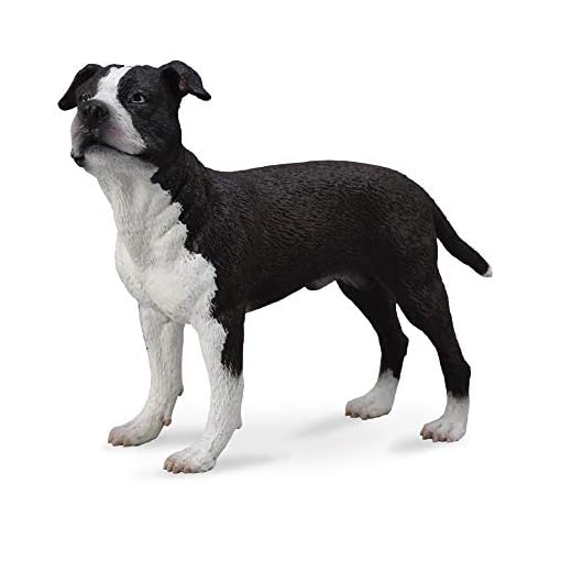 Pies American Staffordshire Terrier