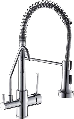 Robinet de cuisine avec robinet d'eau potable intégré et douchette extractible pour évier