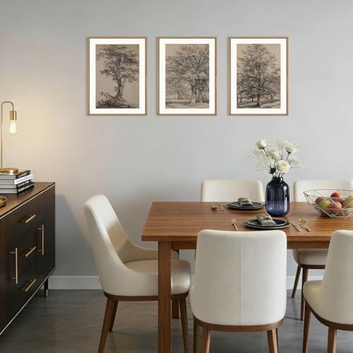 Image of KAIRNE Vintage Tree Sketch Framed Canvas Wall Art Set, Antique Tree Drawings Wall Decor, Retro Forest Art Prints, Modern Nature Landscape Artwork for Living Room, Bedroom, Farmhouse, Office-12 x16 x3
