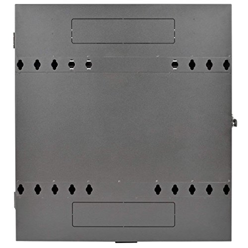 Tripp Lite 4U Vertical Wall Mount Rack Enclosure Cabinet, Low Profile, Switch-Depth, 20" Deep, Black (Srwf4U) #TOP5