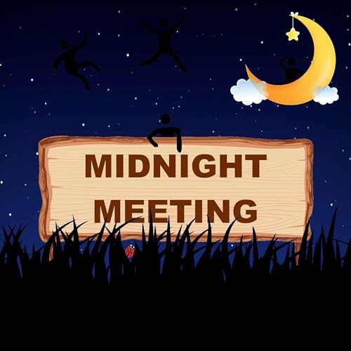 Midnight Meeting cover art