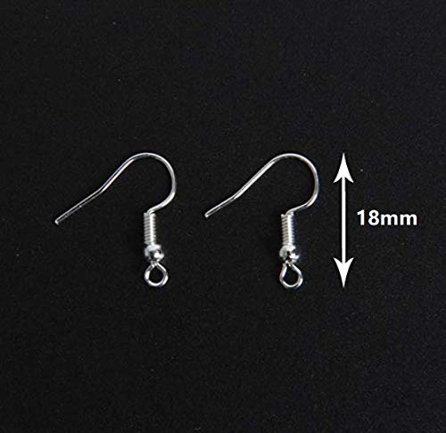 Dnhcll 100Pcs Ball & Coil Earring Hooks Metal Hypoallergenic Earring Hooks Fish Earwire With Coil For Diy Jewelry Makings (Silver) #TOP3