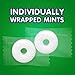 Life Savers Wint O Green Mints - 2lbs of Delicious Wintergreen Mints - Delicious Candy Everyone is Sure to Love - Individually Wrapped