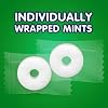 Life Savers Wint O Green Mints - 2lbs of Delicious Wintergreen Mints - Delicious Candy Everyone is Sure to Love - Individually Wrapped