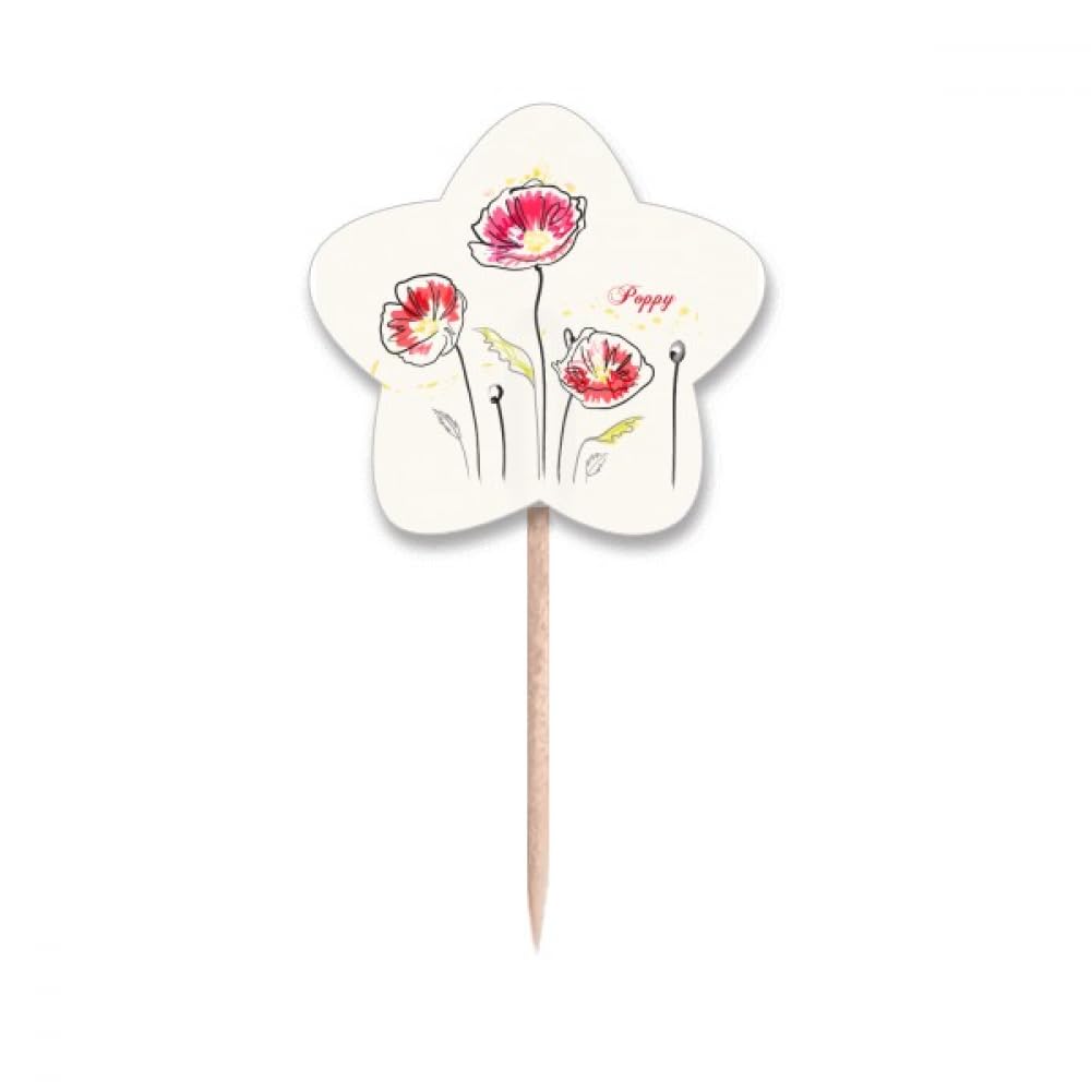 Cure-dents étoile pour décoration florale en bois naturel lot de 100 pièces