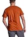Champion mens Classic Jersey Tee Shirt, Spicy Orange, Small US
