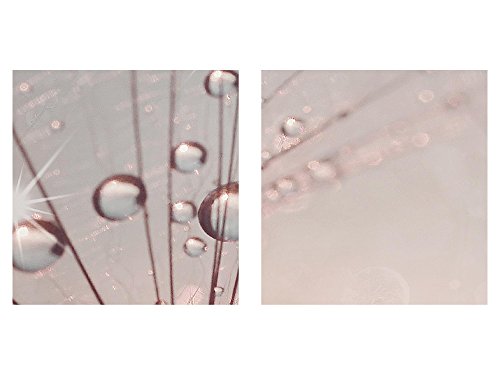 Runa Art Murali XXL Dente di Leone 200 x 80 cm