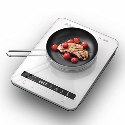 Top 10 Best Single Burner Induction Cooktop Reviews & Buying Guide