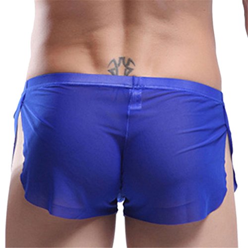 HP95(TM) Men's Bikini Underwear, Sexy Boxer Shorts Briefs Trunks Style Underpants (XL, Blue)