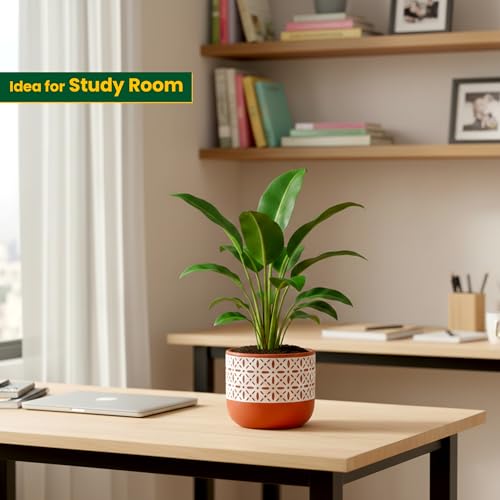 Image of Urban Plant Botanika Virasat Terracotta Pot with Drainage Hole (5 Inch) | Hand-Painted Decorative Clay Planter | Breathable Indoor Plant Pot for Healthy Growth | Tabletop Home Decor & Gifting