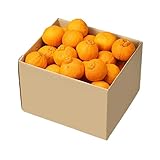 不知火 しらぬい 風の