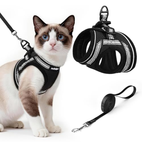 Image of rabbitgoo Cat Harness and Leash Set, Step-in Soft Vest, Black | Escape Proof, Lightweight, Easy-on & Adjustable, Hook & Loop with Buckle, Reflective, for Small Cats Walks, L