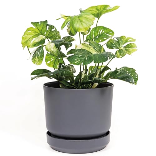 Elly Décor 14 inch Plastic Cylinder Planter Pot with Self-Watering Saucer and Drainage Hole,Lightweight & Extremely Durable, 14
