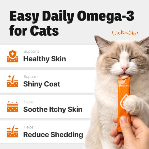 View 4