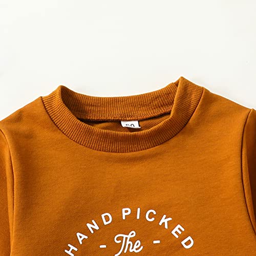 Toddler Infant Baby Girl Boy Halloween Outfit Pumpkin Sweatshirt Oversized Onesie Bubble Romper Sweater Clothes2