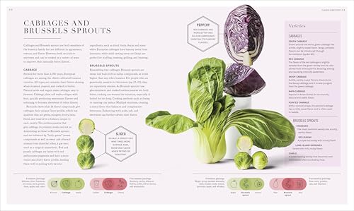 Image of The Science of Flavor: Unlock the Secrets of Flavorful Cooking (The Science of Food)