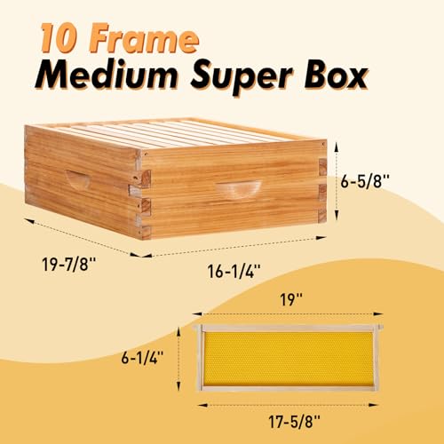 BeeCastle 10 Frame Langstroth Bee Hive Coated with Beeswax Includes Beehive Frames and Waxed Foundations (2 Deep Boxes & 1 Medium Box)