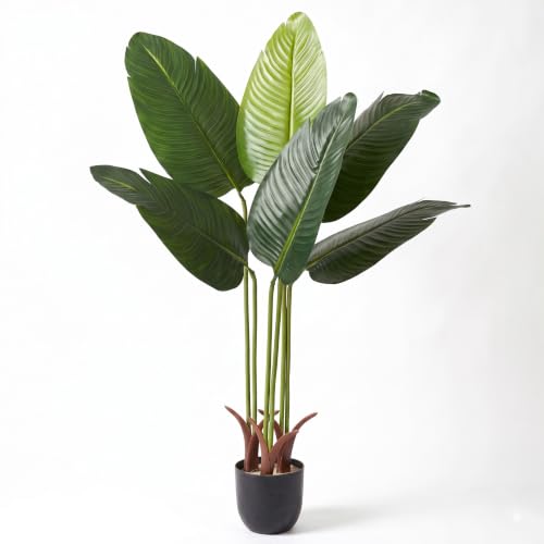 Image of Dekorly Premium Artificial 6 Green Leaves Banana Tree Plant with Black Pot, 100 cm (39.3 Inch) - Elegant Faux Indoor Tropical Plant for Home & Office Decoration