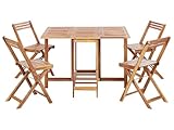 Set da pranzo da giardino pieghevole, comprende 4 sedie e un tavolo