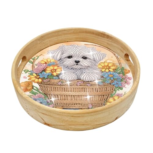 Kit Diamond Painting avec cadre bois TianMaiGeLun T19 tableau