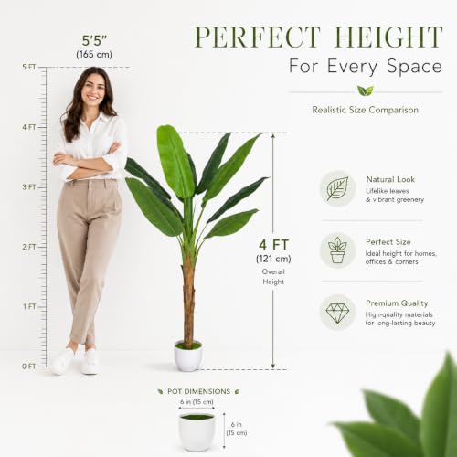 Image of Kayra Decor Artificial Banana Tree 4 Feet with Pot | Realistic Green Leaves & Natural Trunk | Bird of Paradise Banana Plant for Home Decor, Living Room, Office & Indoor Garden Decoration
