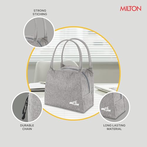 Image of MILTON Fancy Lunch Bag I Design Tiffin Bag for Office for Men, Women I Eco Friendly, Spacious, Durable I 2.44 L I Grey