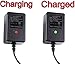 go store choice 12 Volt Battery Charger for All Power Wheels 12-Volt Ride-on Toys, for Fisher-Price Using The Gray Battery or The Orange Top Battery