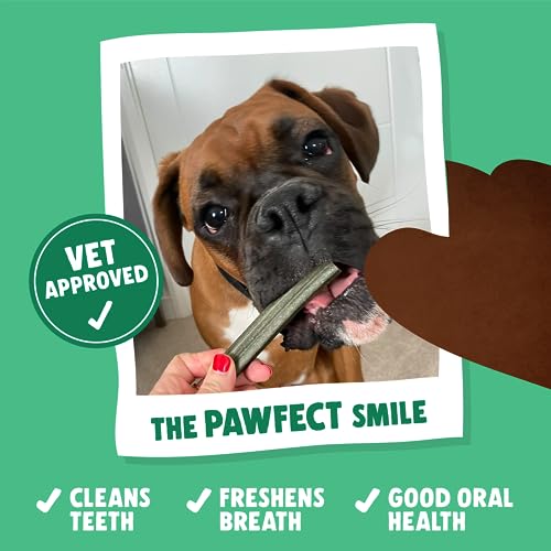 Denzel's Vegan Dog Dental Sticks - for Large Dogs - Peanut Butter & Peppermint (Pack of 28), Blue, 27 g (Pack of 28) - Image 2