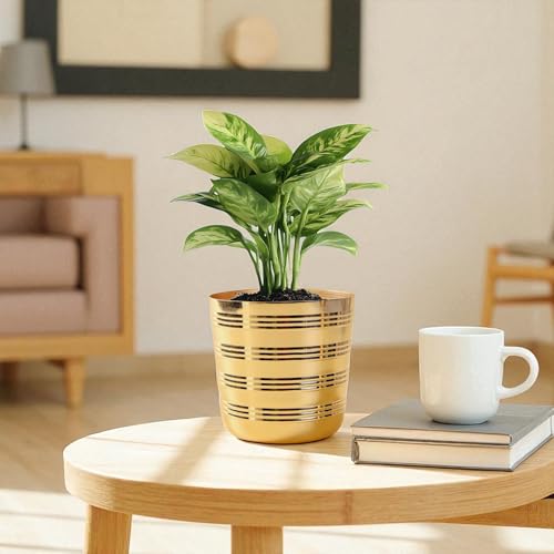 Image of Gold Ribbed Metal Planter Pot Decorative Indoor Flower Planter for Living Room & Tabletop Tabletop Home Decor Gifting (5 inch,Gold)