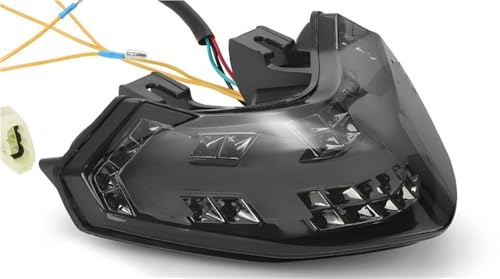 Feux arrière avec clignotant de frein 12V pour Multistrada 1200 sécurité