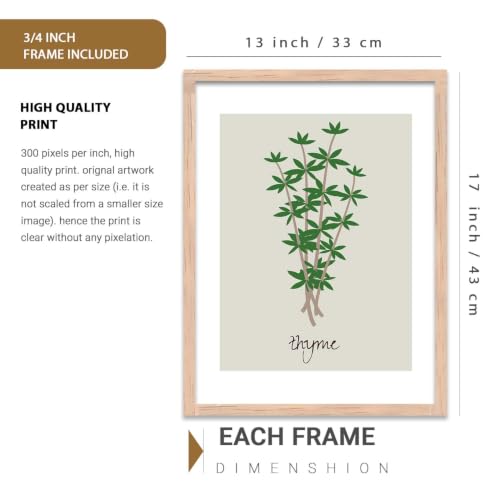 Image of HOTHOUSE Botanical Wall Art Painting | Premium Art Framed Wall Paintings For Home Decor | Poster With Frame Wall Decoration Painting Frames For Home Office Living Room | Set of 3 (13X17 inch)