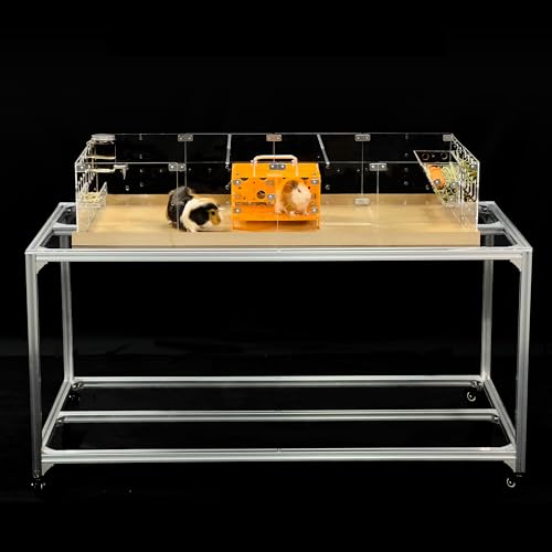 GuineaLoft ANP[W (f-A2) - 傫4x2tB[g̃I[vP[W bgAETMA{^EYAnlY~A[~OXy[XKvȏp - GuineaLoftXgAŏڍׂ