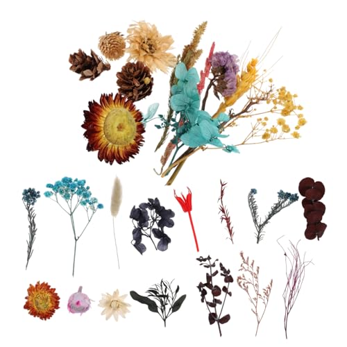 Kit Mini Flores Secas Naturales para Manualidades
