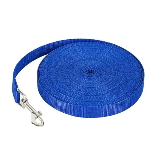 Durable Nylon Dog Leash for All Sizes