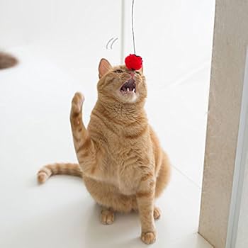 Amazon | iCat FLYING CAT 釣りざお猫じゃらし てんとう虫ボール