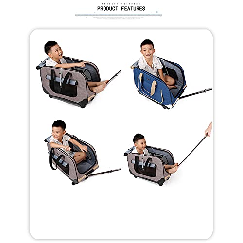 Cochecito de gato impermeable y transpirable con ruedas para viaje 2