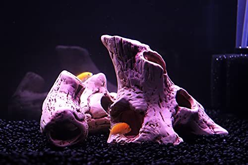 Alegi Aquarium Tree Stump Hole For Betta Fish Toys,Rock Cave Cichlid Stone Betta Fish Accessories 10, 20 Gallon Fish Tank Decorations, Aquarium Rocks Decor #TOP3