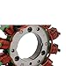 GOOFIT Generator Stator 12 Coil Replacement for KX250F KX250 KX252 KX250 KX450F KX450 KX 250F 250 252 450 450F KX 250F 4T 2011-2020 KX 450 F 2009-2018 21003-0168 21003-0147 21003-0102/0082