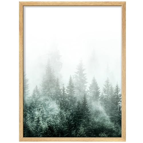 SIGNWIN Framed Poster Evergreen Trees in Fog Tranquil Nature Scene with Mist Illustrations Nature Wilderness Minimalist Decorative for Living Room, Bedroom, Office - 8"x10" Natural