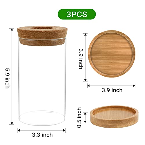 Gicare 8019 Plant Propagation Stations 3 Pack Plant Terrarium, Propagation Jars Glass Hydroponic Vases For Indoor Plants, Desktop Glass Plant Pot With Lid & Wooden Stand Gardening Gifts thumb #4