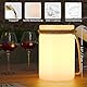 RWWR 2er Pack LED Akku Lampe Tischlampe Outdoor kabellos Warmweiß und RGB USB-C Tischleuchte für Terrasse Esstisch Garten Balkon