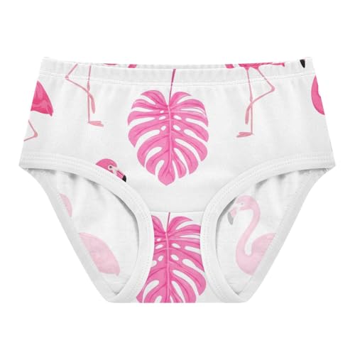 Fancy Toddler Girls Underwear 2t Cotton Girl Panties Cute Cute Pink Flamingos Leaves White Briefs Undies Kids