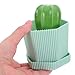 PRETYZOOM 1Set Cactus Dish Cleaning Brush Set Innovative Kitchen Scrubbers for Deep Cleaning Plates Pots Pans Gentle Hands Quick Drying Design for All Dishware